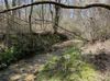 Roberson Road photo